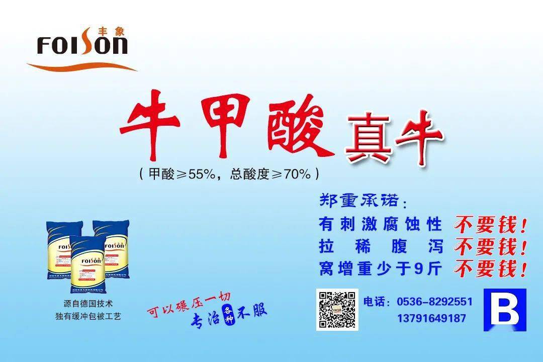 钟姿精选 第846页
