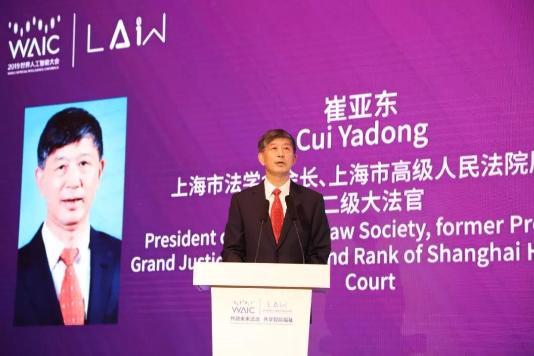 深度解析与观点阐述