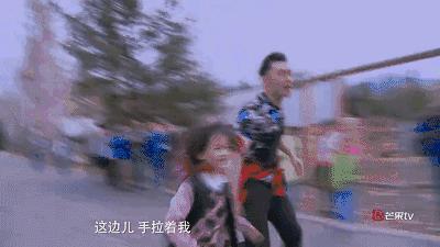 独家揭秘，董力最新动态曝光，11月4日最新消息速递