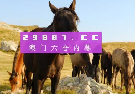 视频 第800页