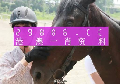 澳门今晚必中一肖一码,证实解释落实解答_简化版44.971