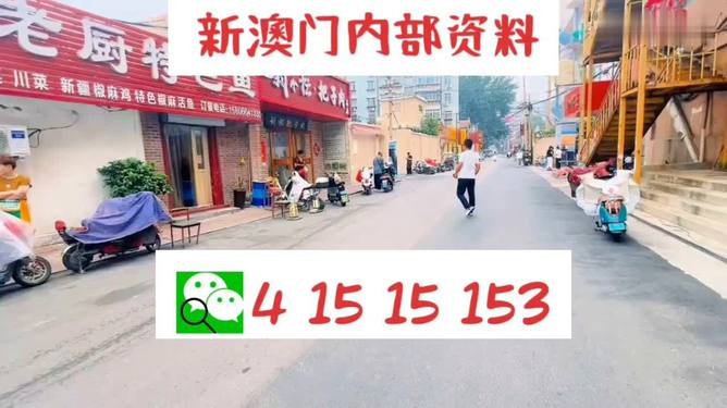2025新澳门天天开好彩大全49,全面研究解答解释策略_试用版50.782