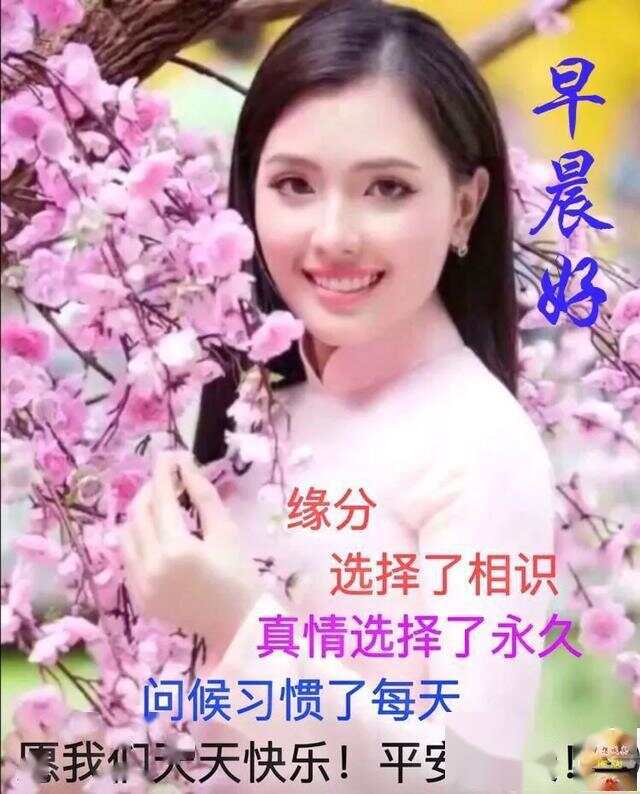 最新美女鲜花早上好动态图片大全及制作指南，美好瞬间的轻松获取与分享