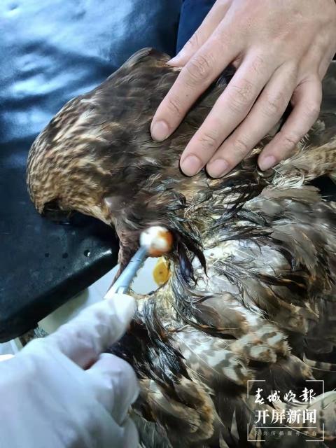镇雄新闻最新动态，学习变革的翅膀助力实现梦想的天空