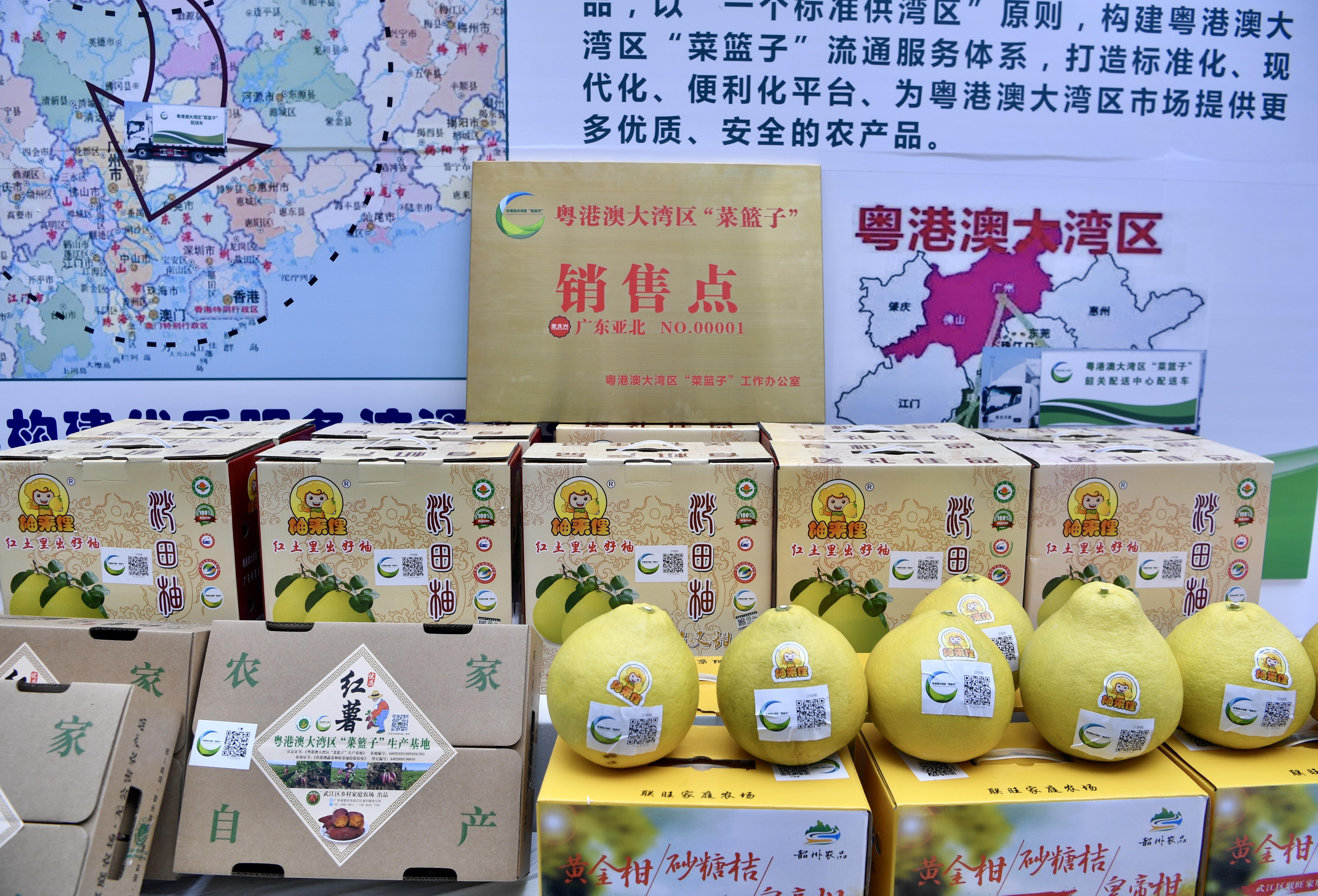 2025年澳门新貌：资源与环境动漫解读KJZ682.23