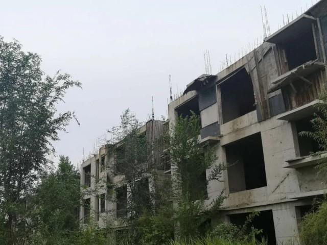 没精打采 第17页