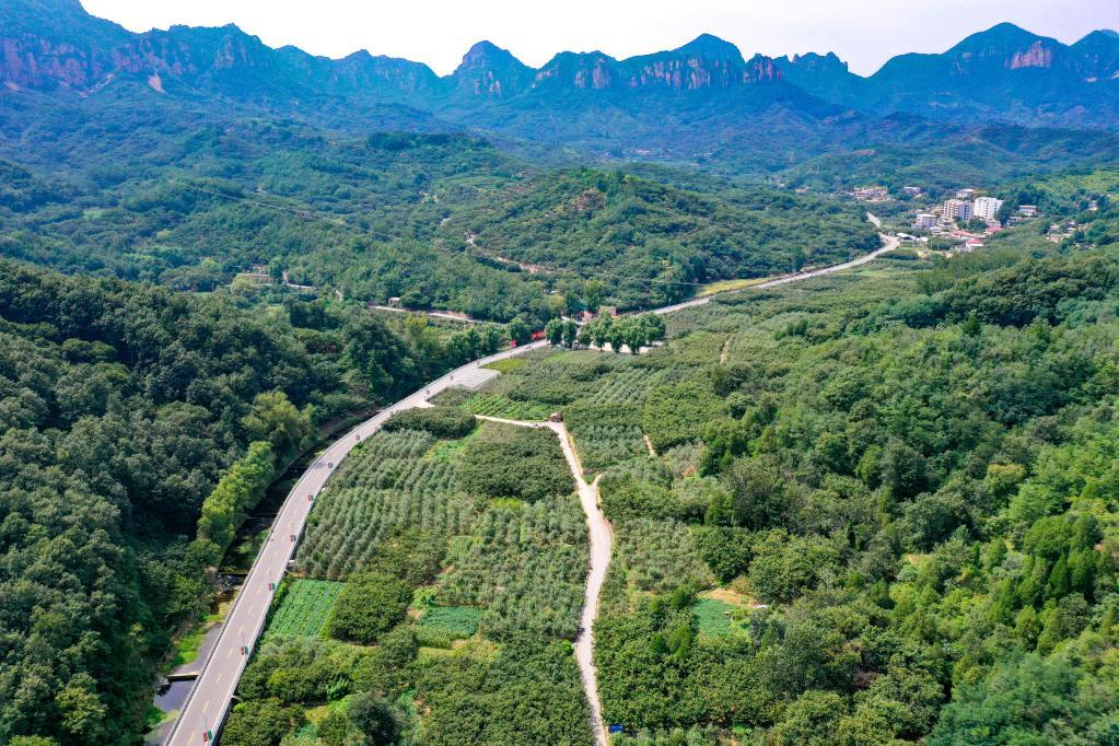 河北美景治愈之旅，历史新貌与最新疫情报告揭秘的11月14日探访之旅