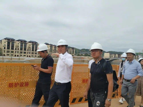 2025年澳门管家婆免费资格及其实施方法分析_GLX8.21.63手游版