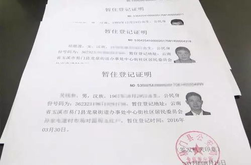 2025新澳最新开奖结果查询,证明解答解释落实_高效版PYF4.73