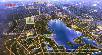 晋阳湖西岸最新发展动向深度解析及观点洞察（2025年11月25日）
