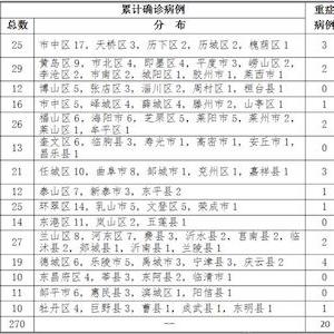 安丘最新肺炎智能监测系统革新之旅，未来科技领航预测2025年11月28日发展趋势