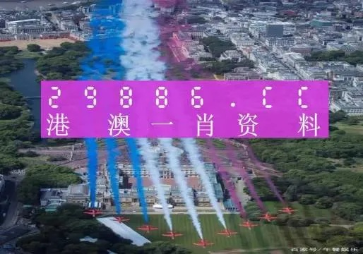 视频 第170页