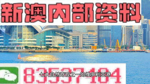 视频 第145页