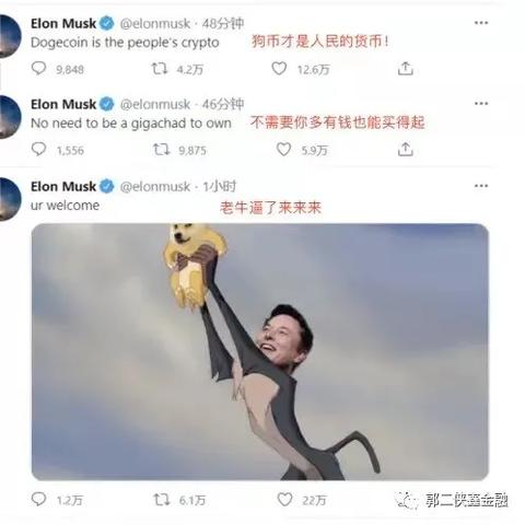 狗币衍生币市场走势深度解析
