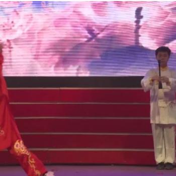 xingbailizhebanjiushi 第2页