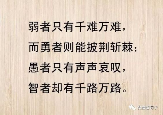 新闻 第52页