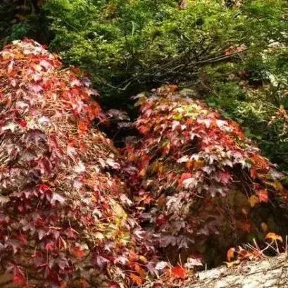 探索 第37页