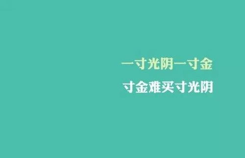 视频 第28页